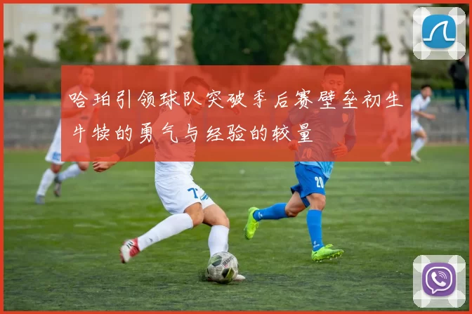 哈珀引领球队突破季后赛壁垒初生牛犊的勇气与经验的较量